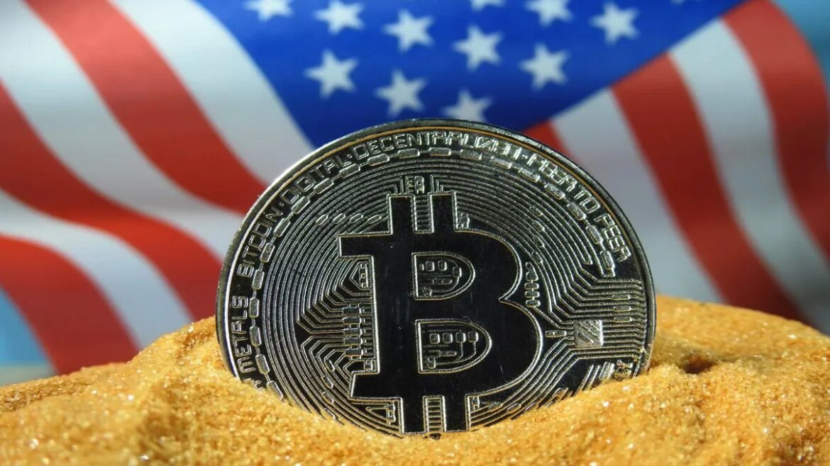 Americans own crypto
