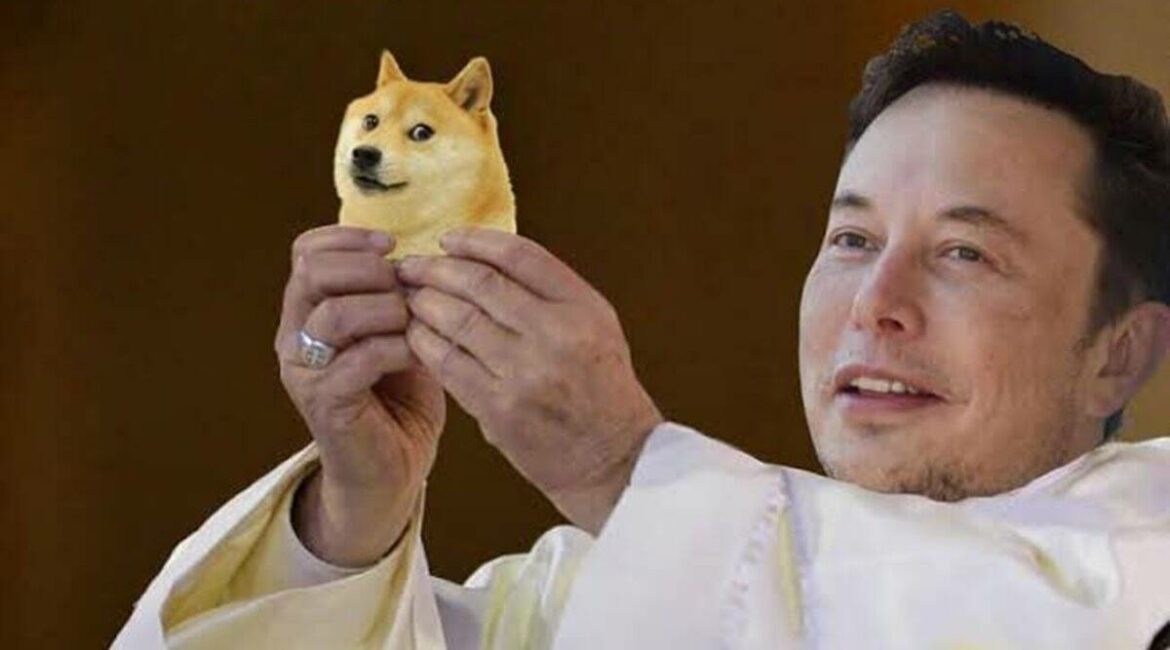 Elon Doge