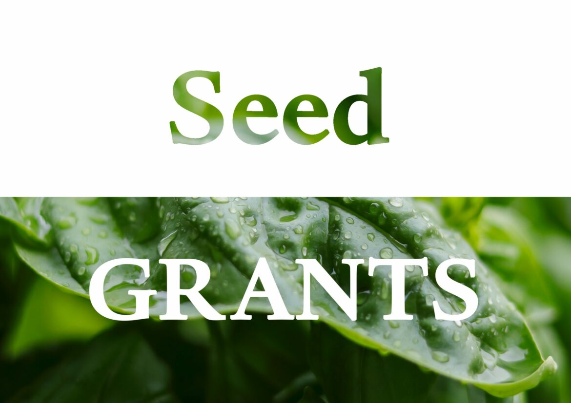 seed grant