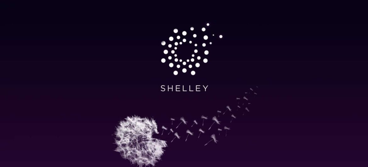 Shelley Phase